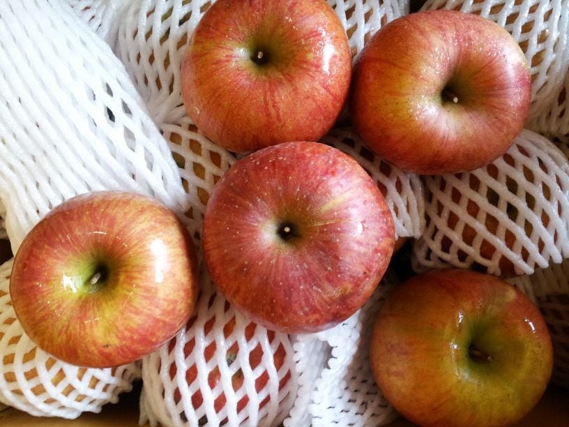 [오늘출발] [신상품] 주왕산털보네하늘사과 주왕산 털보네 맛있는 꿀사과 흠과 9kg - 2. 가정용 흠과 9kg
