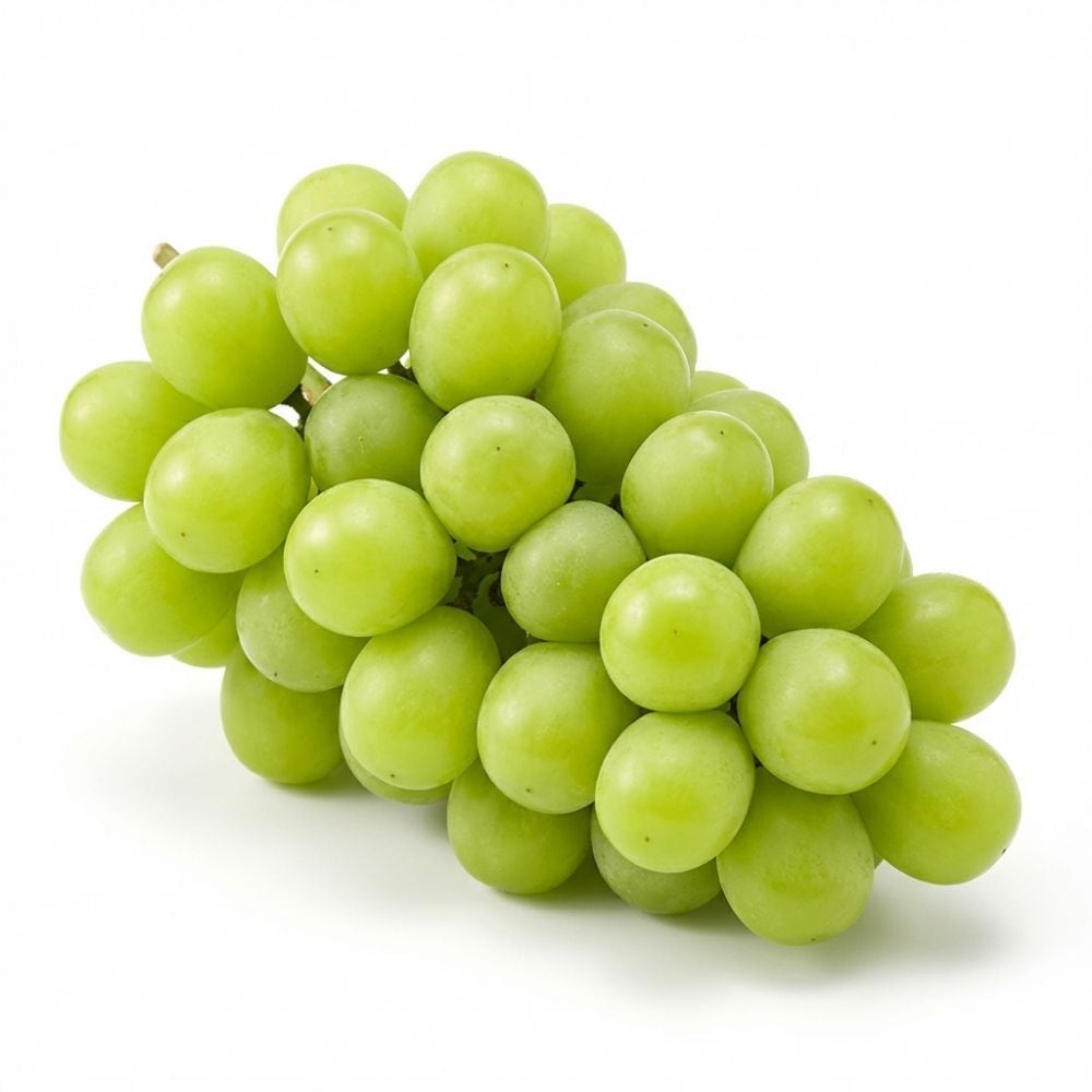 팜보스 경북 김천 샤인머스캣 달콤한 프리미엄 포도 실속형 특등급 선택 - 특등급 샤인머스켓 2수 2.1KG