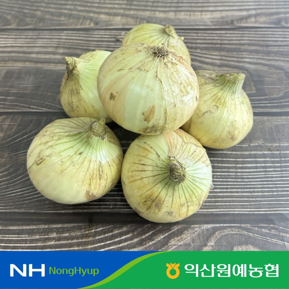 익산원예농협 [산지직송] 토스페이 10%+당일수확 깐쪽파 1kg 외 농협 양파/깐마늘 필수야채 모음전 - [익산원협] 햇양파 3kg