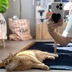 상품 이미지 3