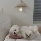상품의 서브 이미지