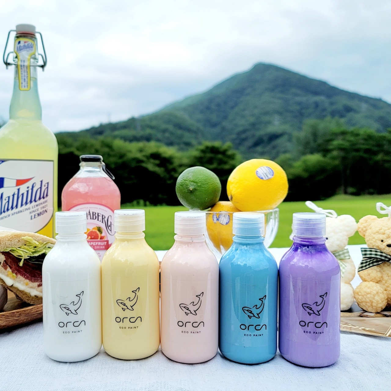 페인트 > 수성페인트 친환경 젯소 바니쉬 방문 몰딩 가구 벽지 리폼 셀프 소량 + 붓 | 오늘의집 쇼핑