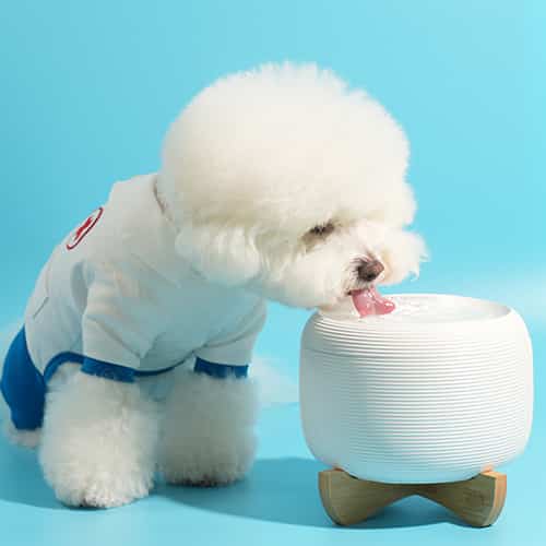 ペット 自動浄水器