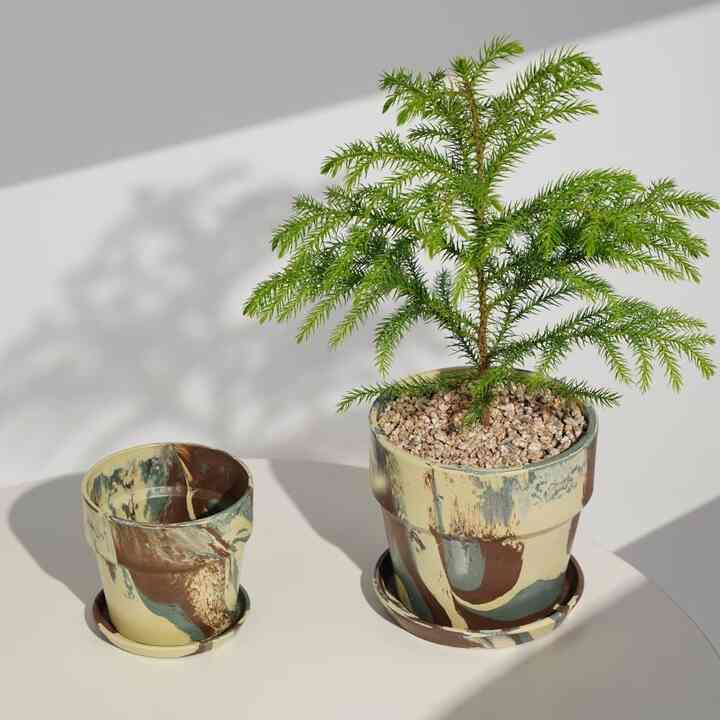 nuanua コーヒーフォレスト プラスチック鉢［4サイズ］