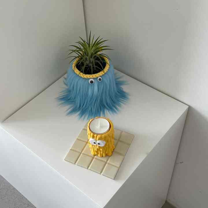 チランジア＆モンスター 植木鉢セット［7色］