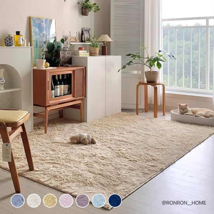 Ultra-Soft Washable Shag Rug