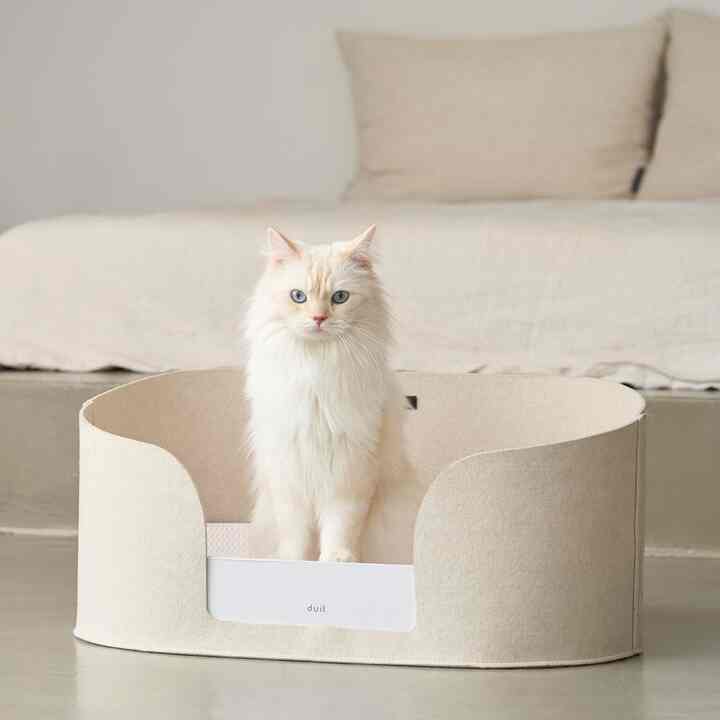 オールデイバスケット＆スクラッチセット［2色］