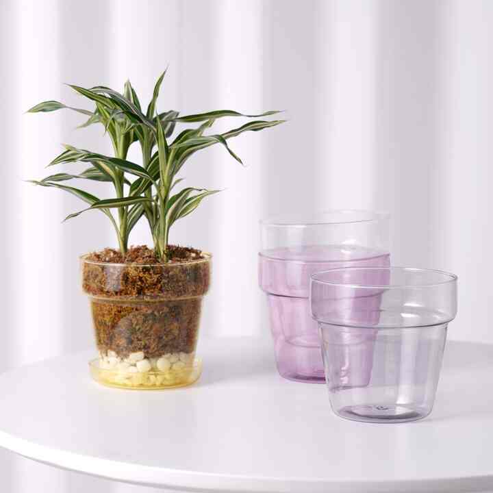 Glass Pot セット 小［4色］