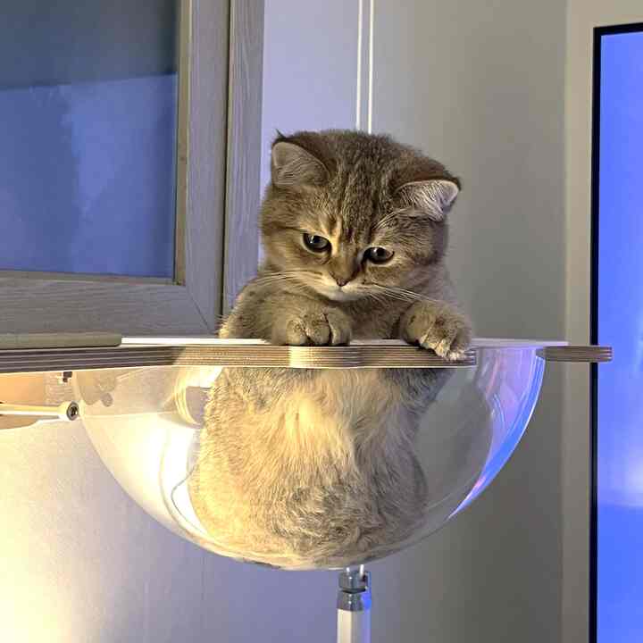 猫用 窓枠 ハンモック