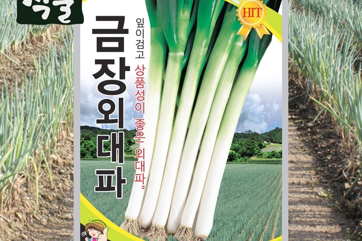 식물 > 금장외대파 2000립 무 씨앗 씨 봄 종자 파 대파 채소 야채 | 오늘의집 쇼핑