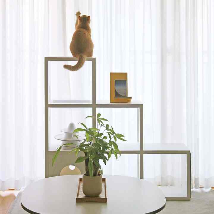 キューブボックス キャットタワー