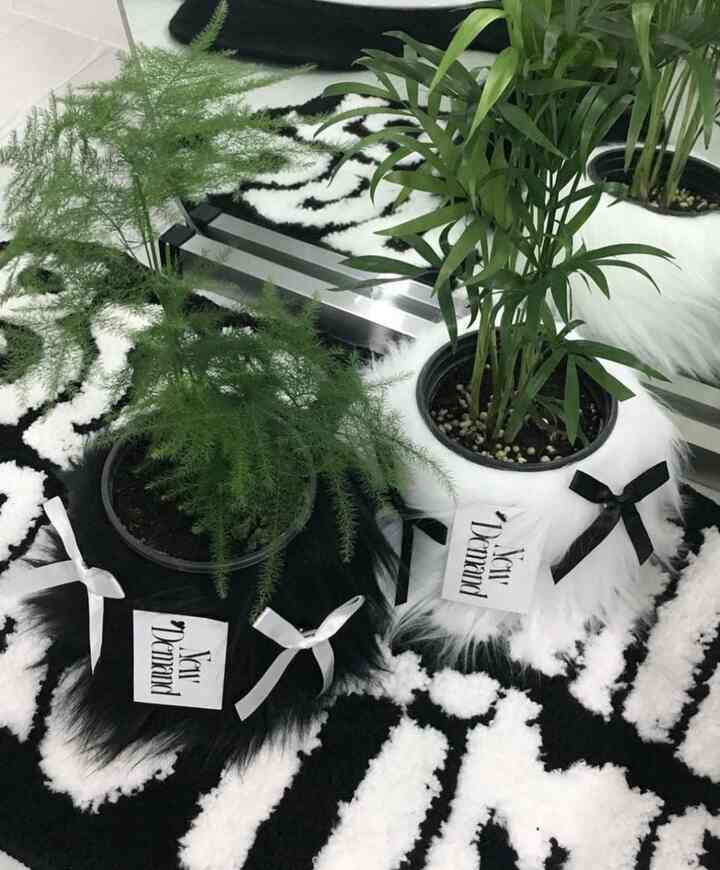 植木鉢カバー ポットカバー＆植物＆アクセサリー［15色・10種］