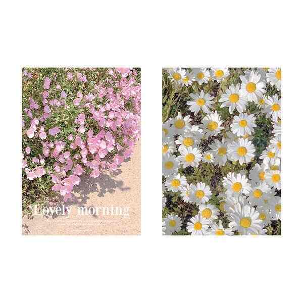 A3 フラワーポスター［2種］