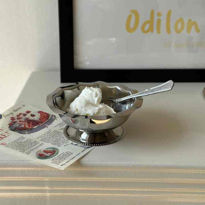 Stainless Steel Dessert Bowl