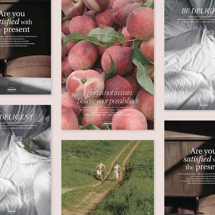 お家に咲いた春っぽいポスター