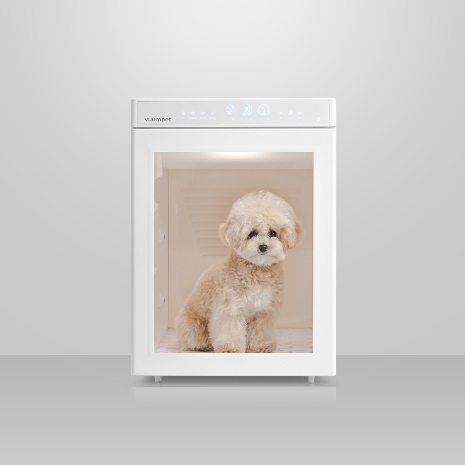 [신상품]붐펫 펫드라이룸 단델리온