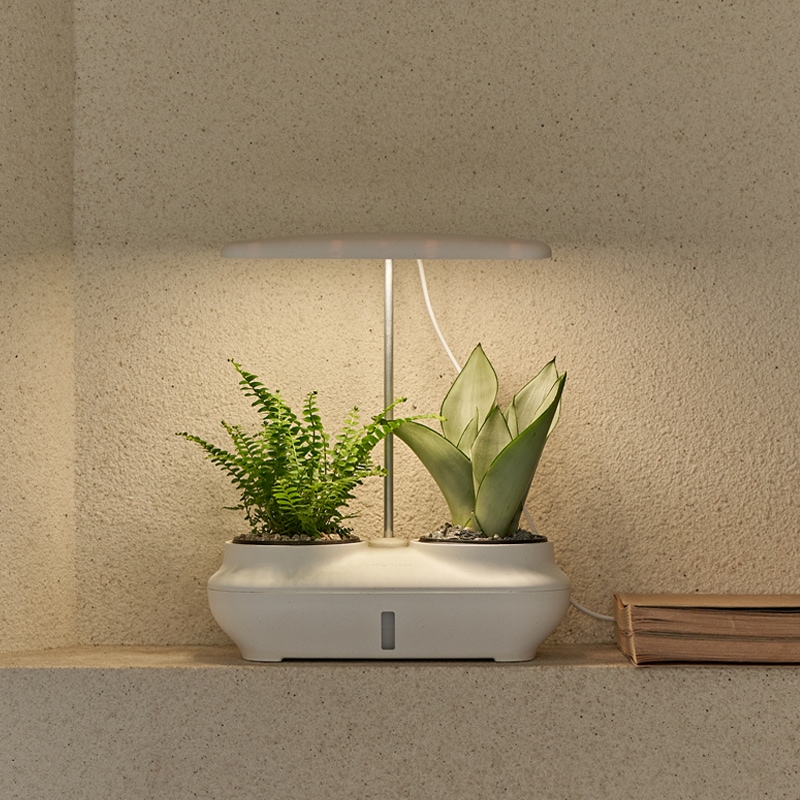 디자인노크 반려식물 케어 솔루션_키우다