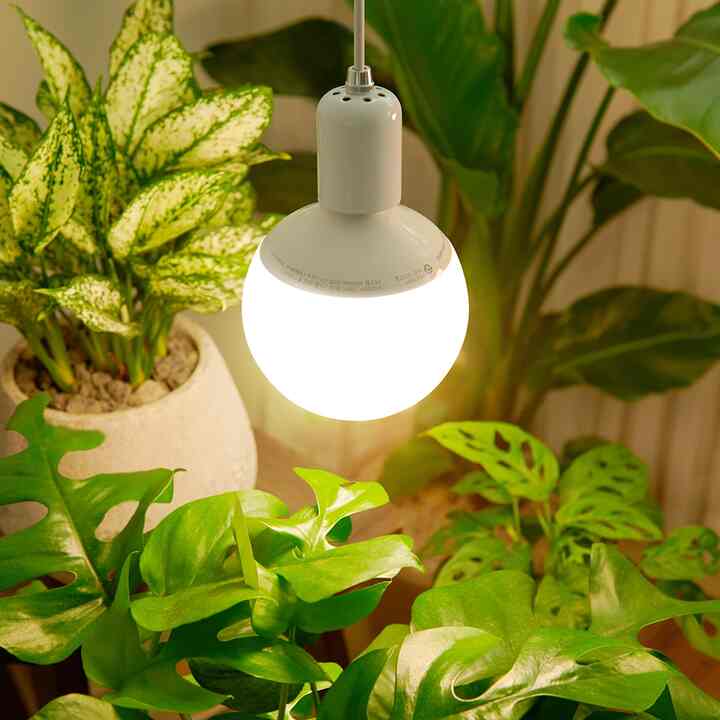 【Hippo Farmtech 】 植物育成 LEDランプ