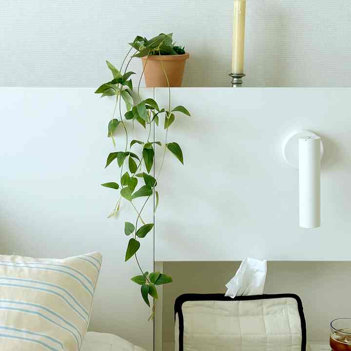 クレマチスの葉 フェイクプランツ＆ミニ鉢セット