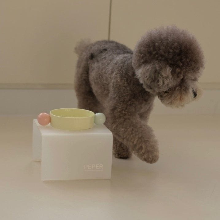 페퍼(PEPER) 강아지식기 캔디팟