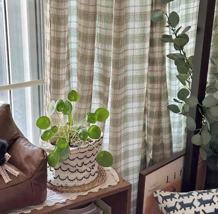 garden チェック カーテン