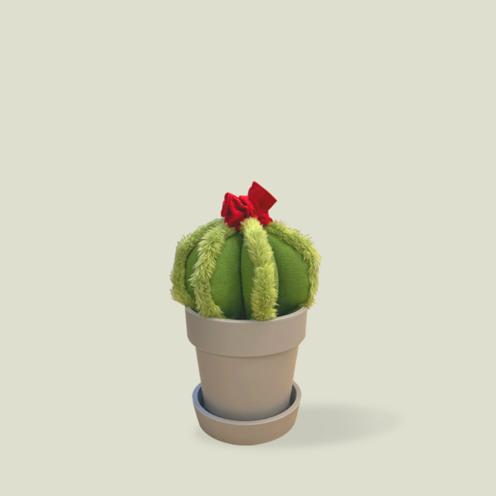 猫キャットニップ ミニサボテン ペットおもちゃ