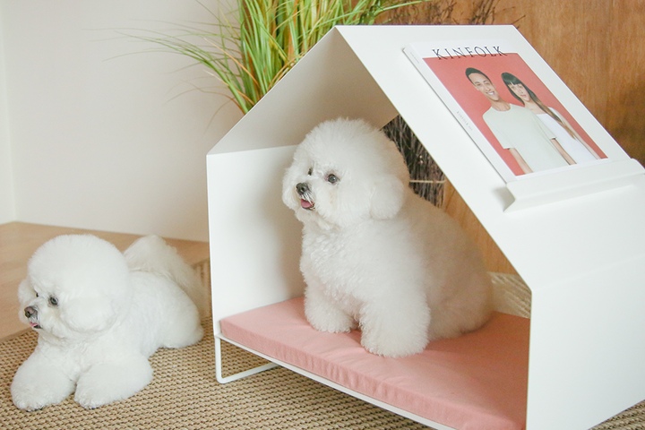 강아지 리빙 > 이너피스하우스 철제하우스 인테리어강아지집 애견방석 강아지 방석 | 오늘의집 쇼핑 이너피스하우스 철제하우스... 