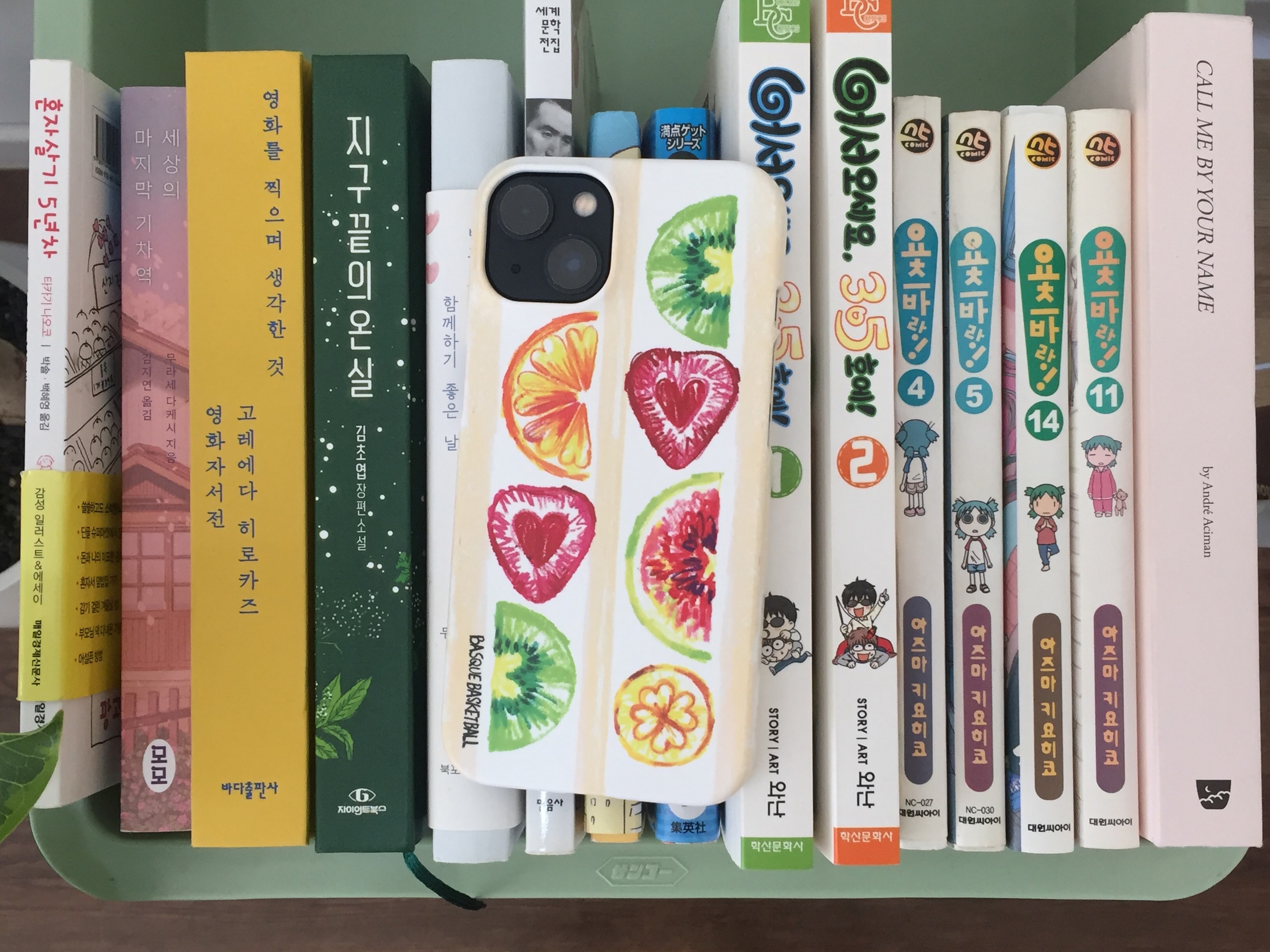 바스크 바스켓볼 FRUIT SANDO CASE(후르츠산도 과일 딸기 키위 바나나 폰케이스)