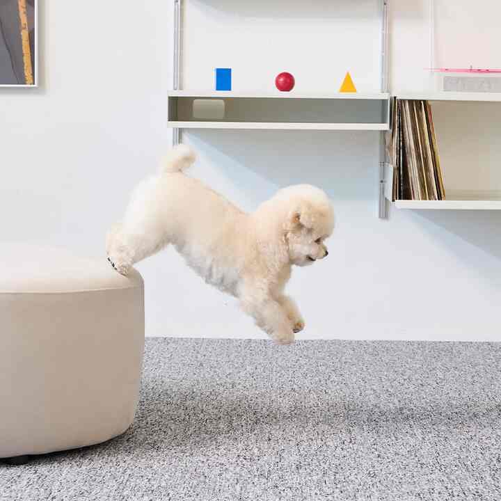 ウダンタン ペット タイルマット［7色］