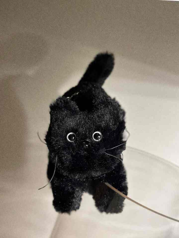 FEEL SO ANGRY : ANGRY CAT KEYRING キーホルダー［2色］