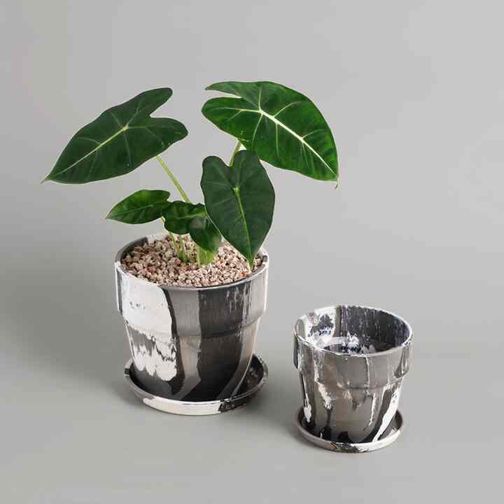 nuanua クリームクッキー プラスチック鉢［4サイズ］