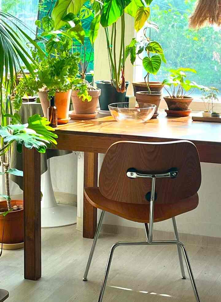 Cozy Wood Shell チェア 2脚セット［4色］