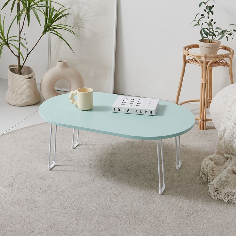 델리아리빙 LPM 노트북 라운드 접이식 테이블 M사이즈(700480) 5color (보호캡 증정)