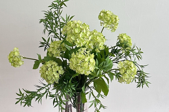 https://prs.ohousecdn.com/apne2/any/uploads/productions/v1-251857042231360.jpg?w=720&h=480&c=c