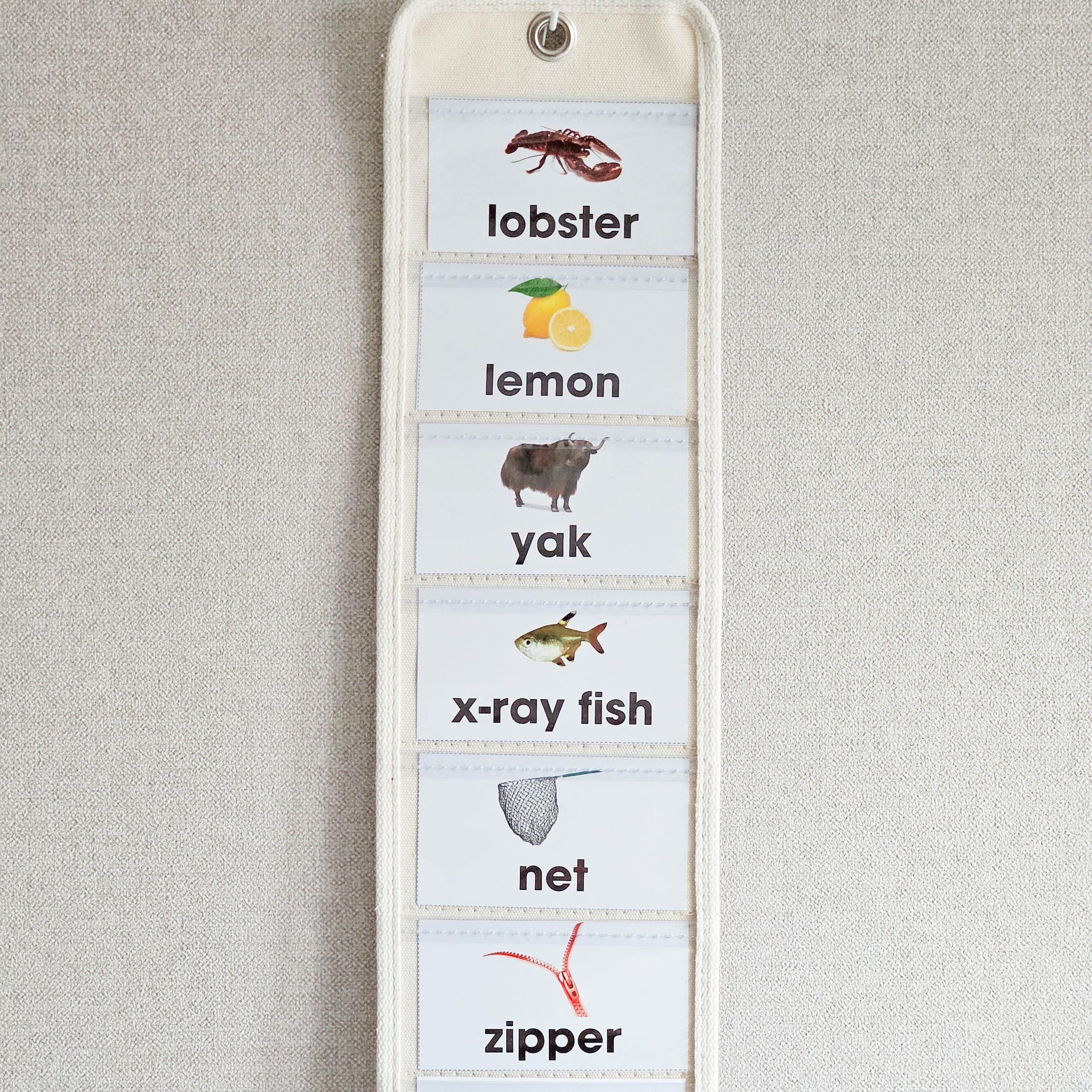 [오늘출발][신상품]마이포켓 타입18 벽걸이 학습 포켓 수납 생활비 용돈 달력 사이트워드