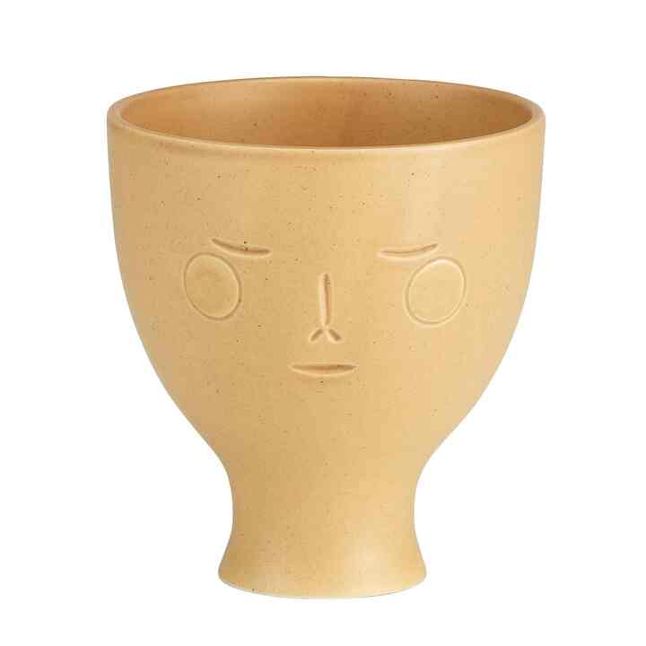 夏至の魔法 ベース 鉢植え