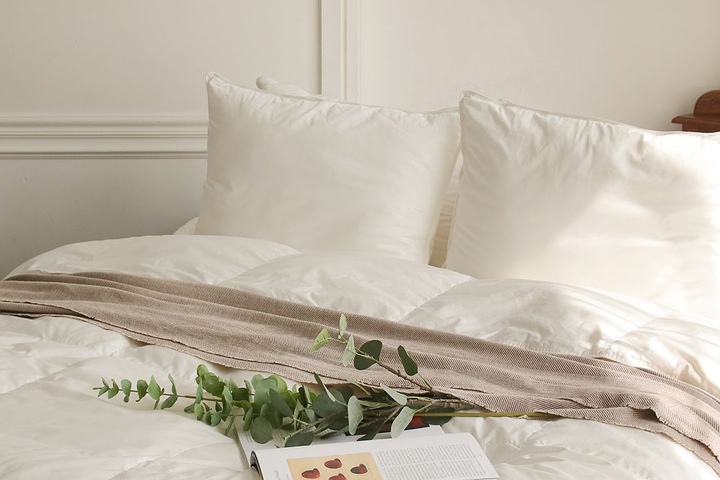 Ensemble de couverture d’oie pour les allergies/soins des allergies, ensemble de literie d’hôtel 5 étoiles atopy (pour toutes les saisons)