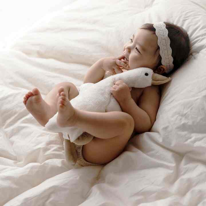 アヒル ぬいぐるみ［2サイズ］