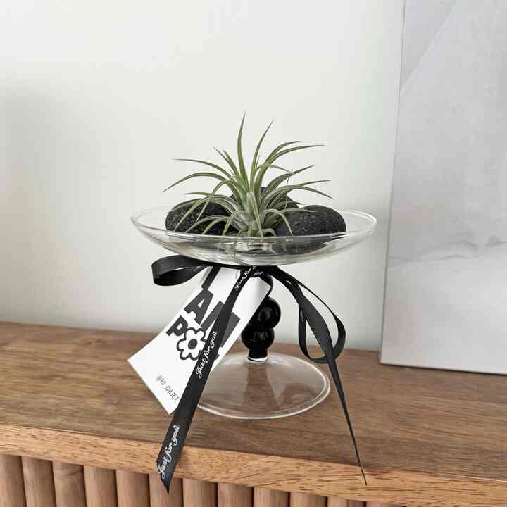 イオナンタ ビーズ トレイ セット［2色］