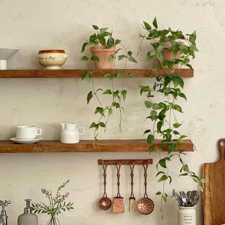 クレマチス スマイラックス フェイクグリーン&植木鉢［2サイズ］