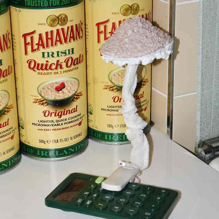 mushroom clamp クリップ ランプ ［3色］