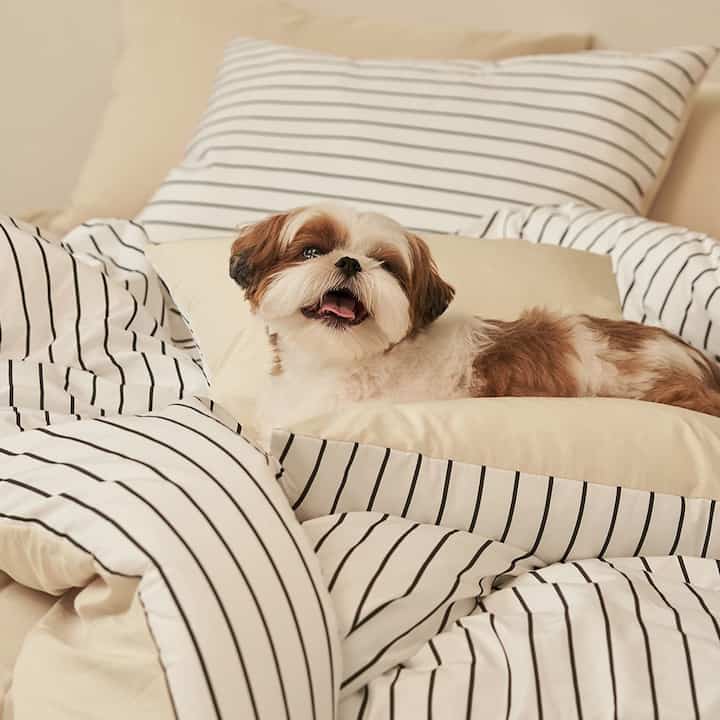 ストライプ アレルギーケア 掛け布団セット［8色・3サイズ］