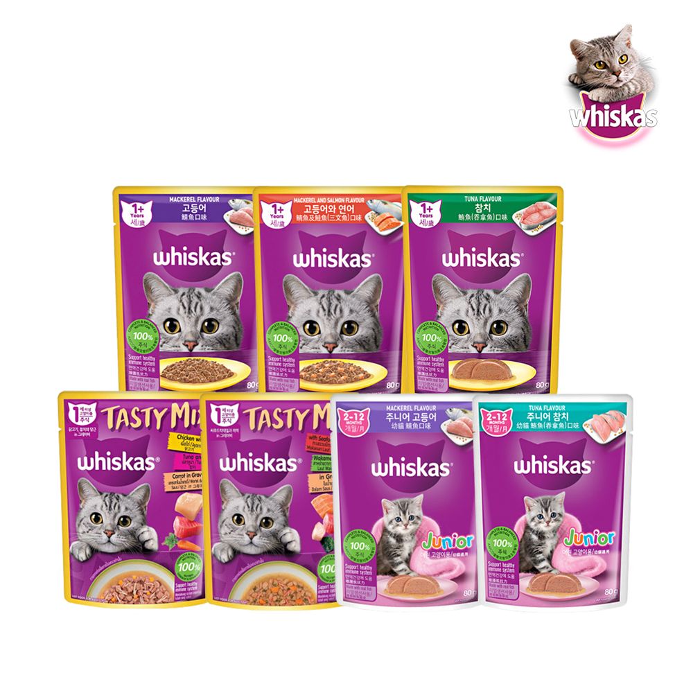 [신상품]한국마즈 위스카스 파우치 12팩 모음/고양이들의 마성의간식