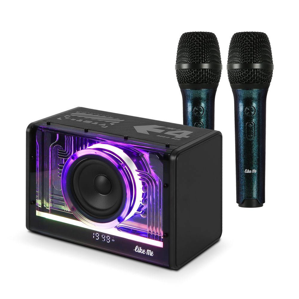 라익미 BC10 맨체스터 무선 블루투스 스피커 마이크 세트