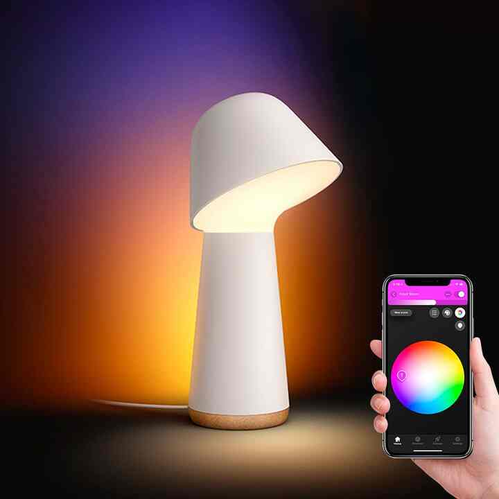 hue Color&Gradient Twilight ナイトライト