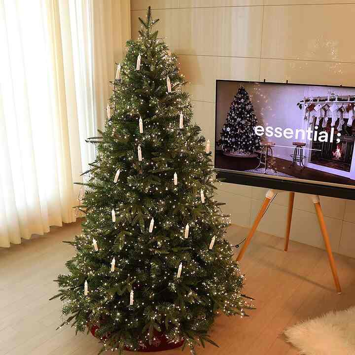 ナチュラル モミの木 飾りなし［4サイズ］