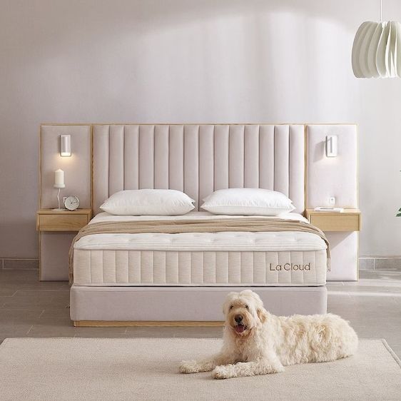 라클라우드 [오늘의집 단독] 헤라스 기능성 포틀랜드 패브릭 호텔 침대프레임 SS/QK/LK