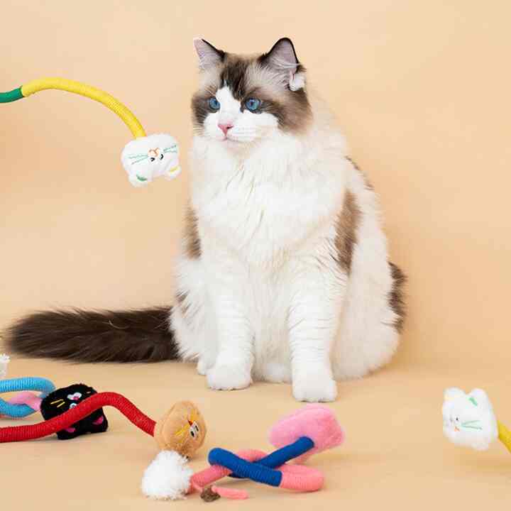 猫 歯磨き ロープ おもちゃ