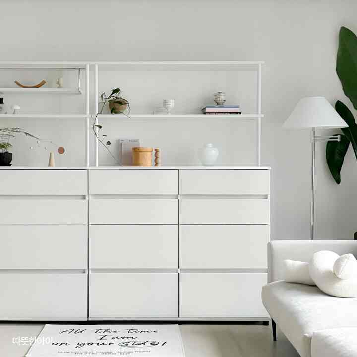 BASIC BIG チェスト［5サイズ］