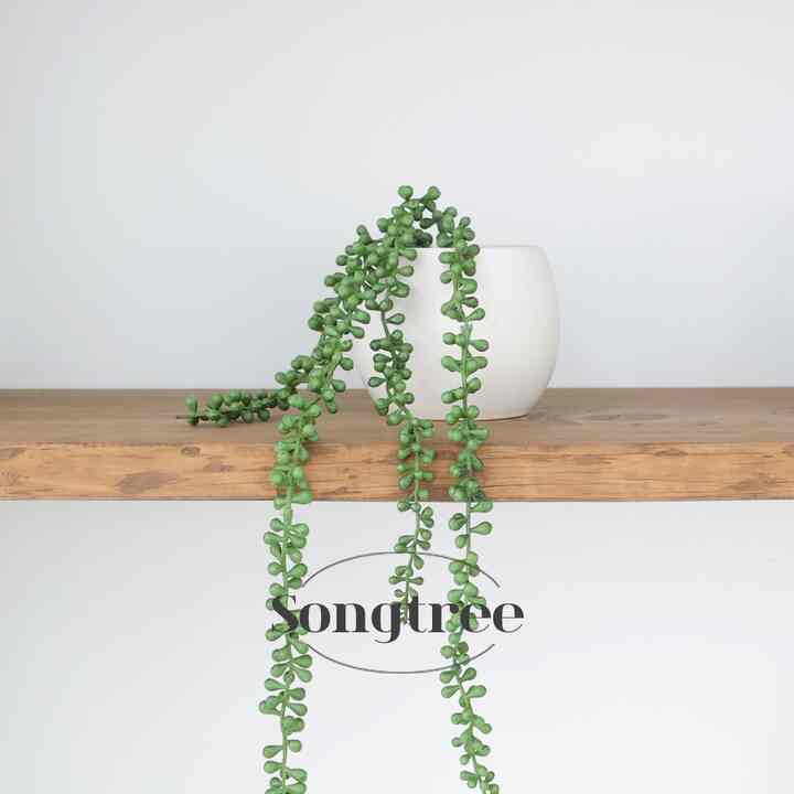 ミドリノスズ フェイクグリーン